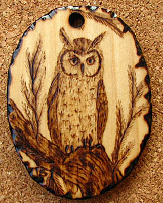 Long eared owl tanja sova pyrogaphy